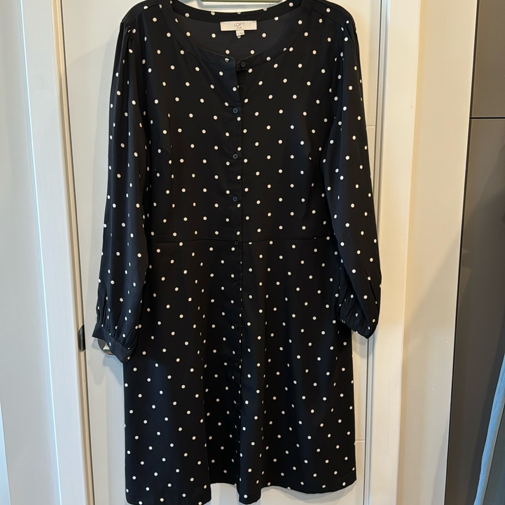 Loft plus long sleeve pooka dot dress, 16